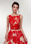 Red Tulle Bateau Long Aplliques  A-line Prom Dress 