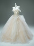 Shop 2025 ANNAKOO Champgne Tulle Ball Gown Flower Prom Dress Under 398