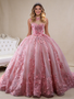 Shop 2026 ANNAKOO Tulle High Neck Cap Sleeve Pink Appliques Prom Dress Under 789
