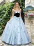 Shop 2026 ANNAKOO Blue Tulle A Line Butterfly Sweetheart Prom Dress Under 229