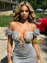Shop 2026 ANNAKOO Gray Off The Shouler Feather Trumpet Mermaid Appliques Prom Dress Under 497
