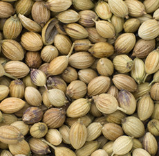 Coriander Essential Oil - Seed