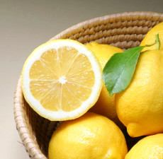 Lemon Blossom Fragrance Oil