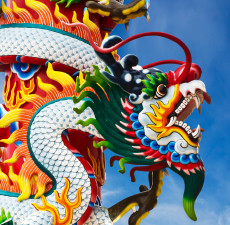 Manchurian Dragon Fragrance Oil