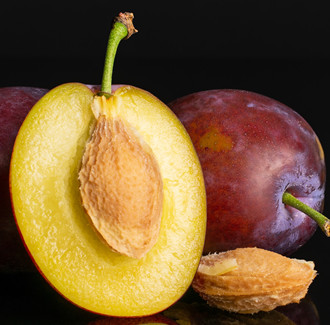 Plum Kernel Carrier Oil