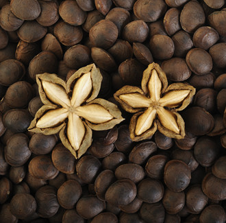 Sacha Inchi Organic Carrier Oil - Extra Virgin