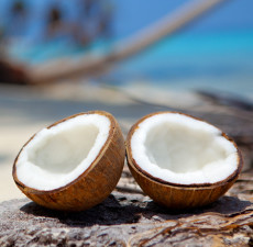 Coconut Paradise Fragrance Oil