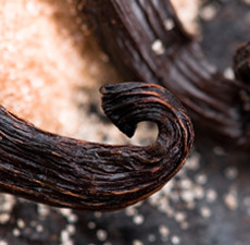 Tahitian Vanilla Fragrance Oil