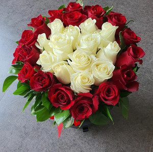 Red & White Roses 