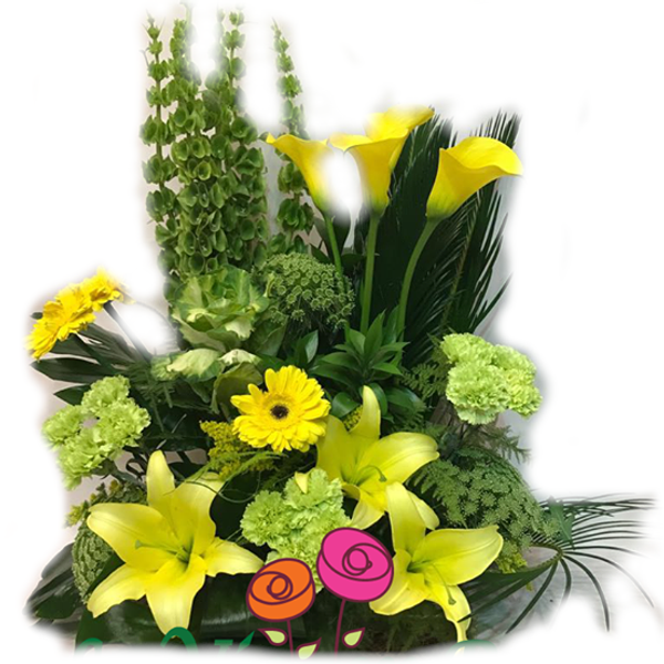 Send flowers to a friend in Cairo