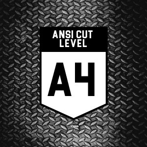 ANSI A4
