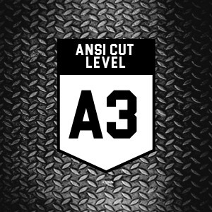 ANSI A3