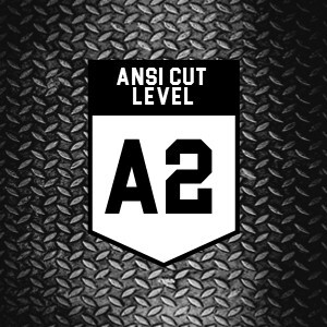 ANSI A2