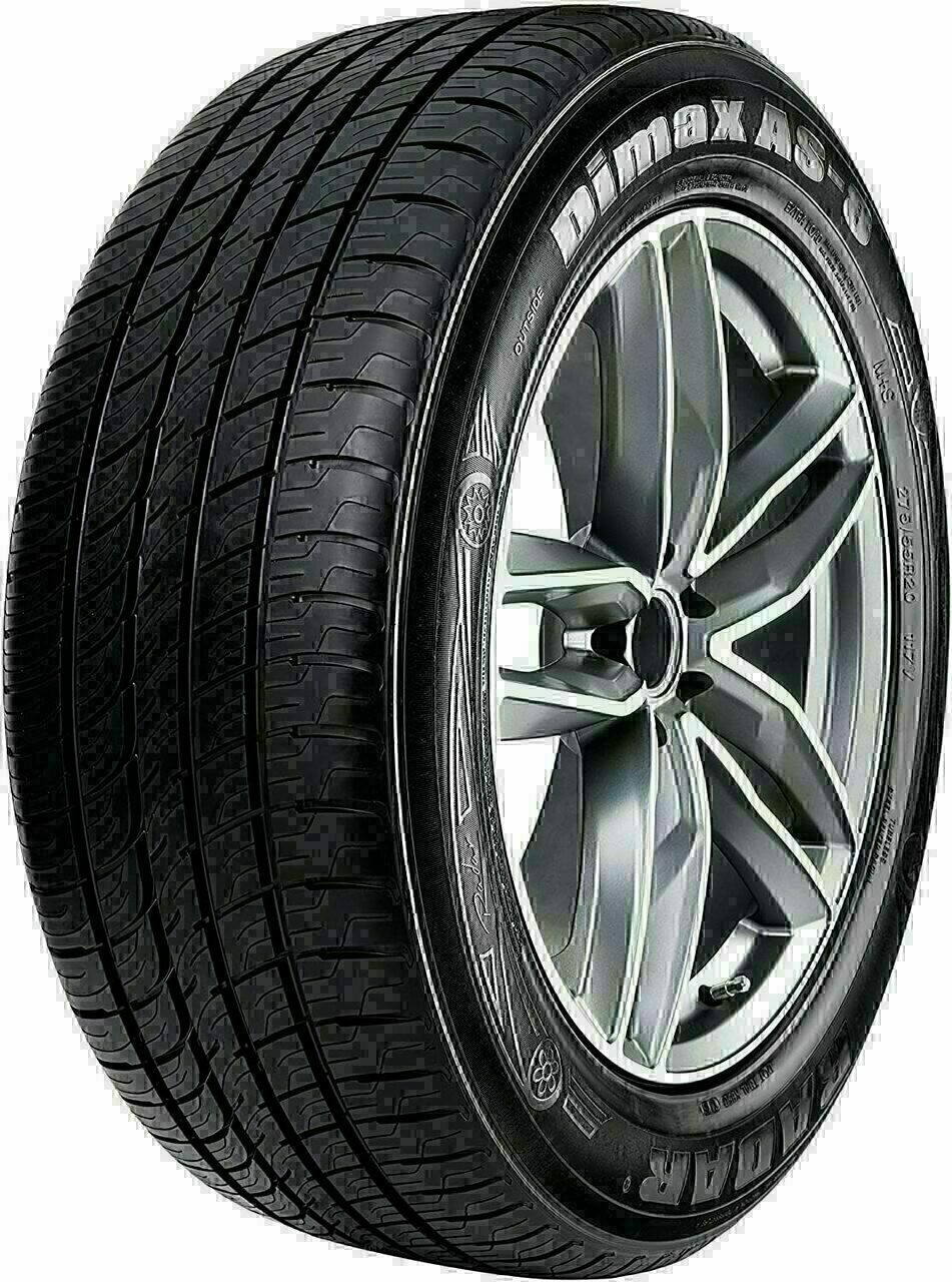 245/55R19 RADAR DIMAX AS-8 107V M+S 600AA**50K**+ROAD HAZARD