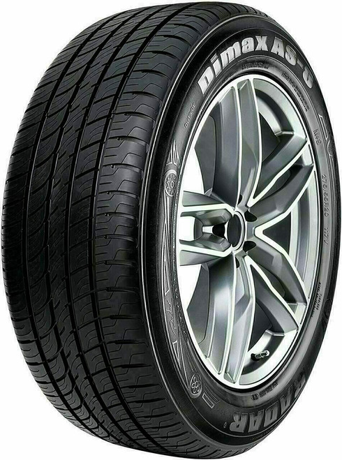 225/55R16 RADAR DIMAX AS-8 95V M+S 600AA**45K**+ROAD HAZARD