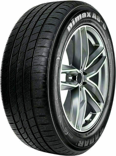 235/55R19 RADAR DIMAX AS-8 105V XL M+S 600AA**50K**+ROAD HAZARD