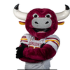 Colorado Mesa University Spirit Earring Stack in maroon and gold, Mavericks huggie hoop earrings (view 7)