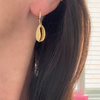 Cowrie Shell Hoop Earrings