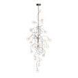 Harco Loor Papillon 20 Light transparent Chandelier-RIDDLESIXLONGHL20