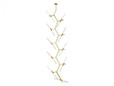 Chandeliers By Avenue Lighting SAN VICENTE LED Chandeliers in Brushed Brass HF8058-20-BB