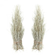 Home Decor By Dimond White Washed Cocoa Twig Sheaf - Set of 2 742022/S2