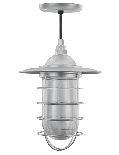 Chandeliers/Pendant Lights By American Nail Plate Vapor Tight Pendant with clear glass with a wire guard and small shade, hung on an 8' Black cord