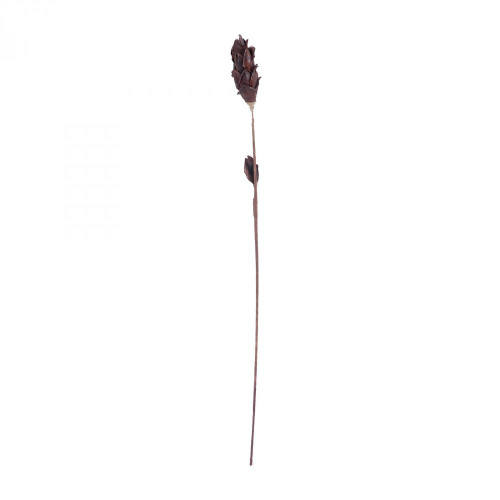 Home Decor By Dimond Black Corn Leaf Pole 7163-069B
