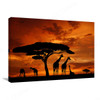 African sunset canvas wall art