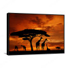 Acacia Tree Canvas Art