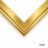 gold floater frame