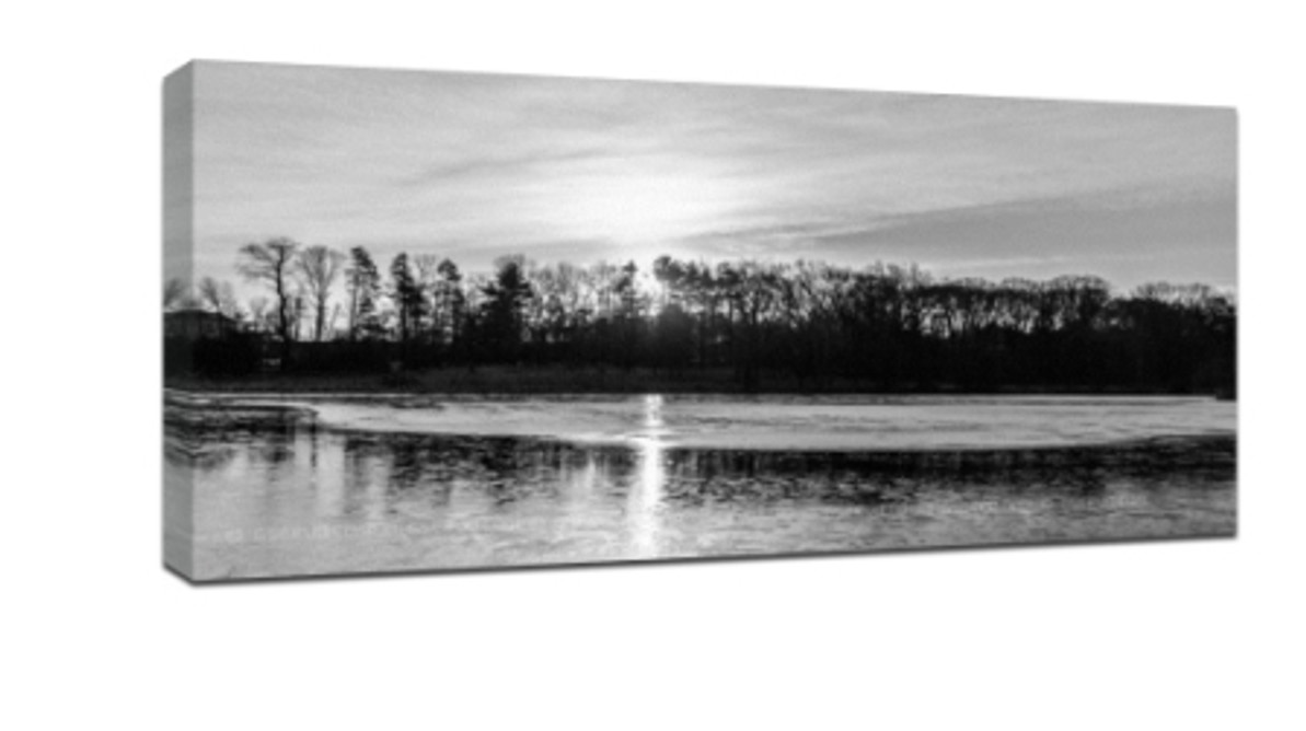 8 tips for taking good black and white photography - Custom Canvas Online