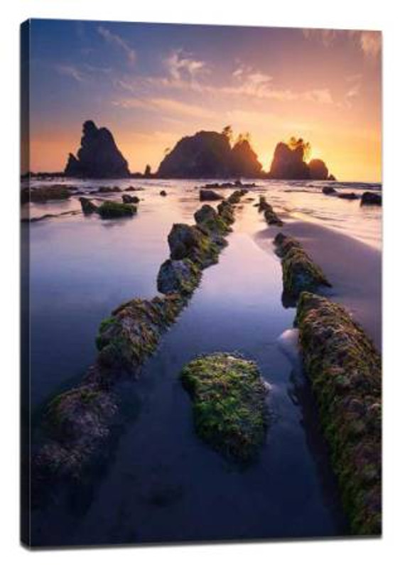 A Good Photograph Should Guide the Reader's Vision: Transform Your Space with Canvas Prints