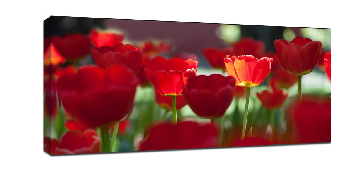 ​Five tips for shooting unique flowers