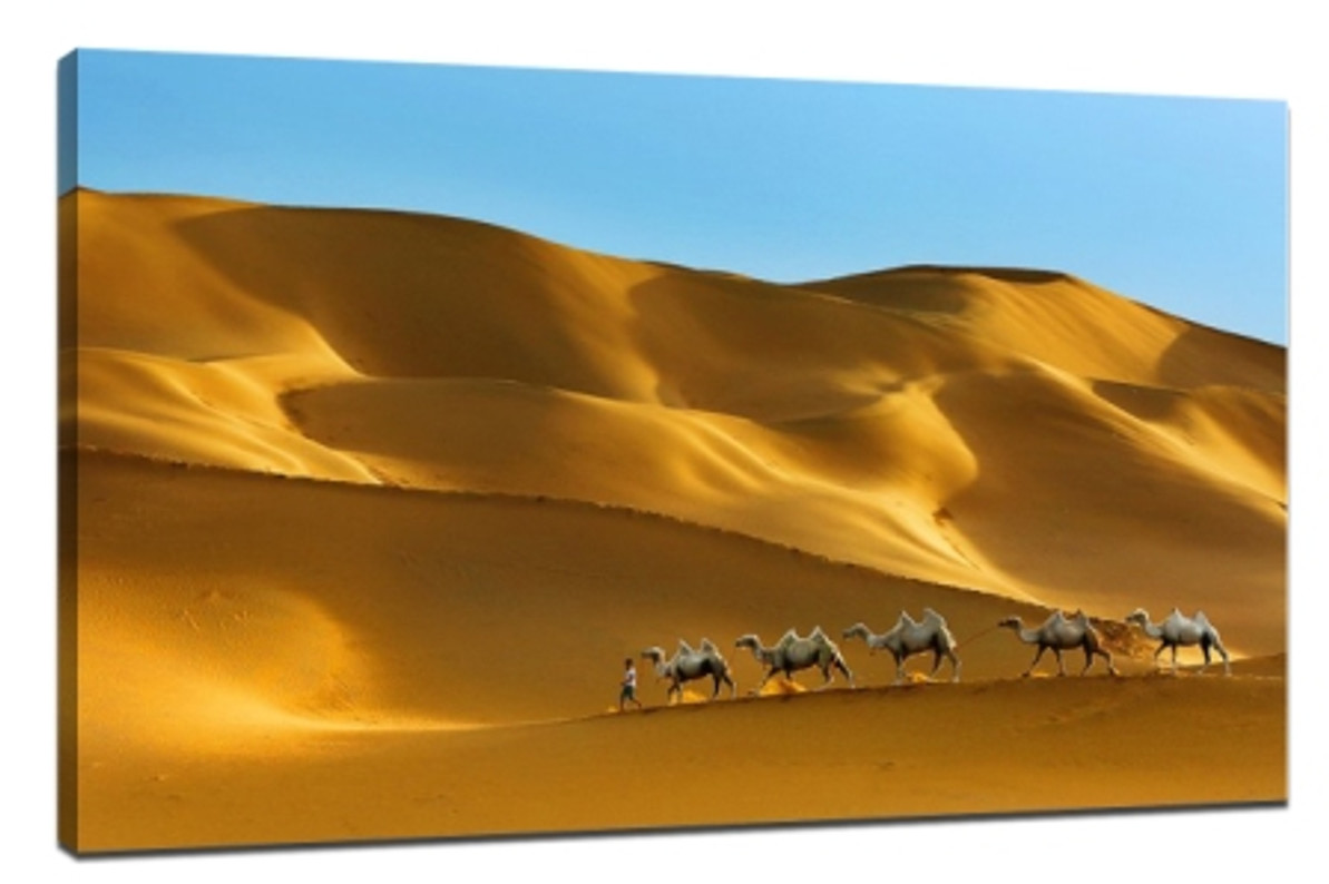 Make landscape photos outstanding