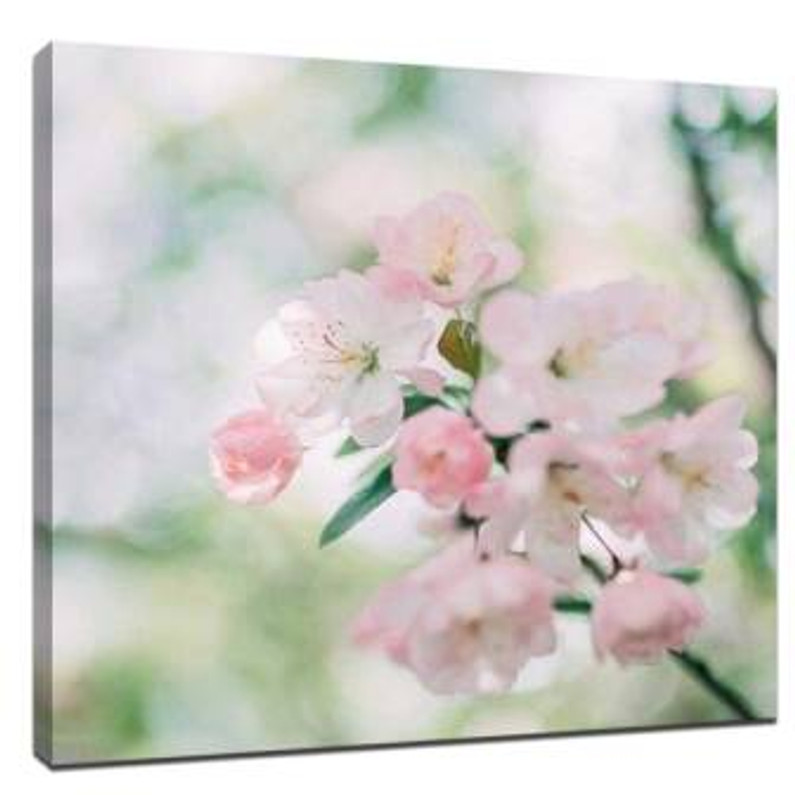 Take a good still life photo