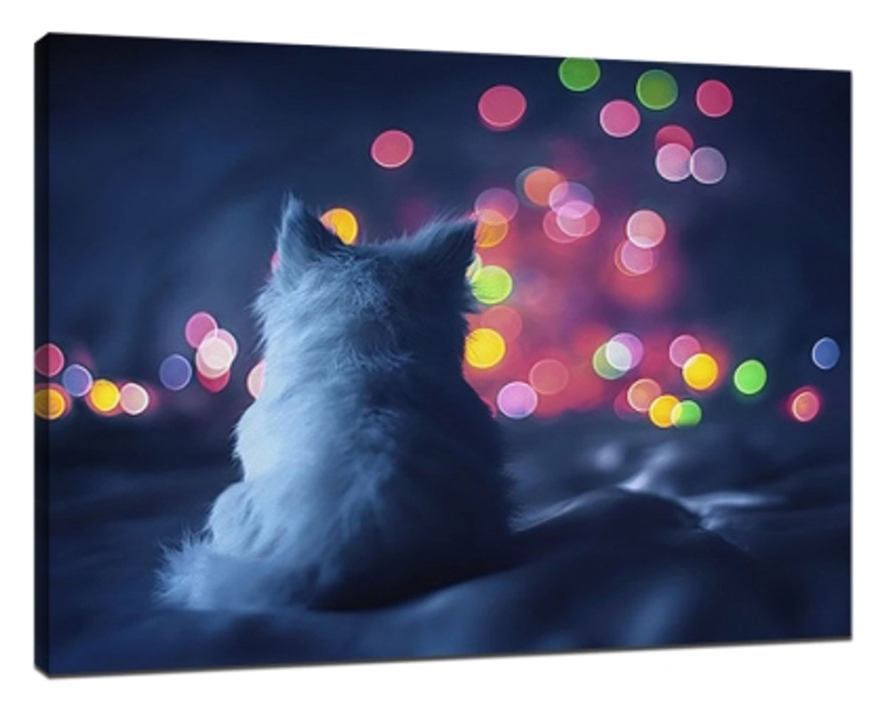 Take beautiful Bokeh photos