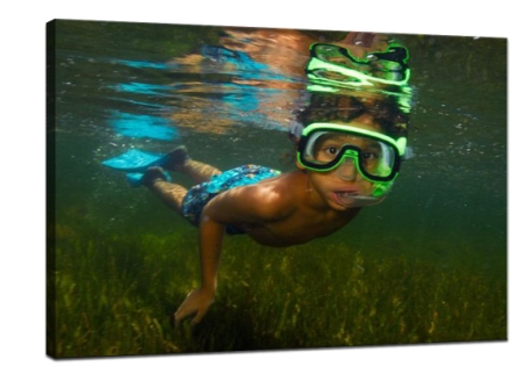 ​How to take great photos underwater