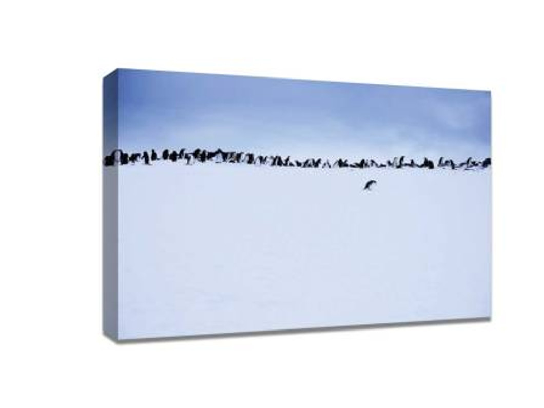 minimalist landscape photography