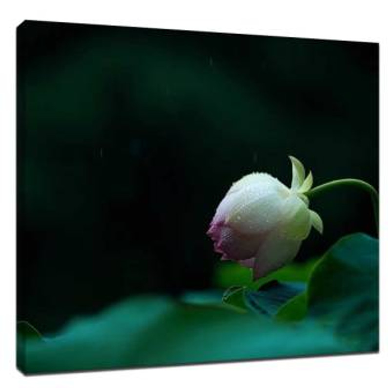​Keeping the unique color style photography