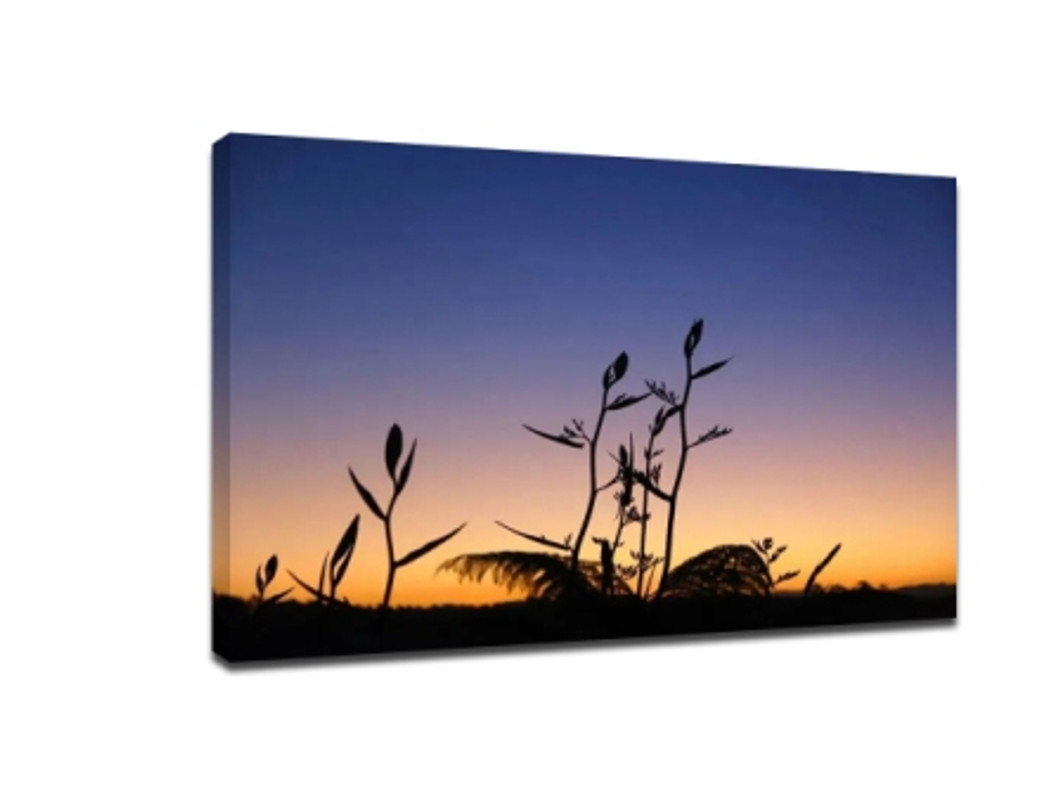 ​Silhouette photography tutorial