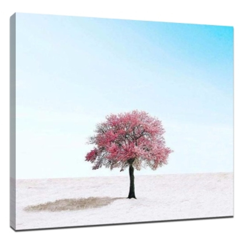 ​Square photo composition skills guide