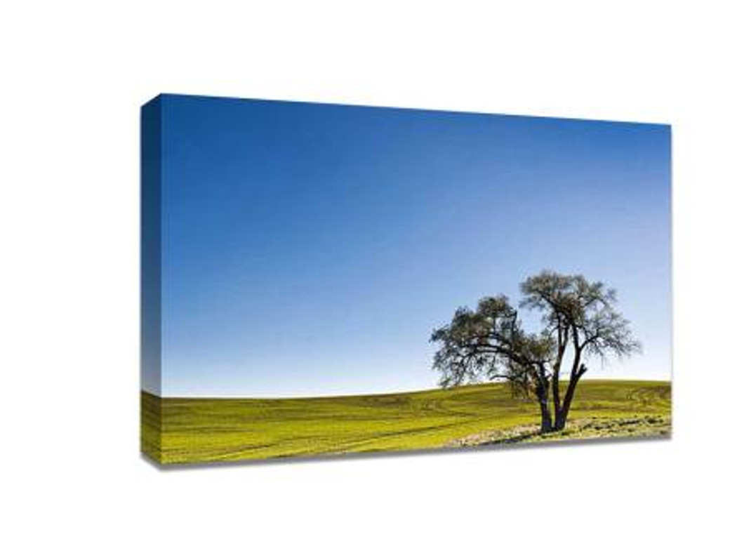 ​Ten tips for landscape photography composition