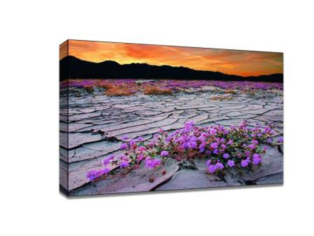 ​The landscape never moves