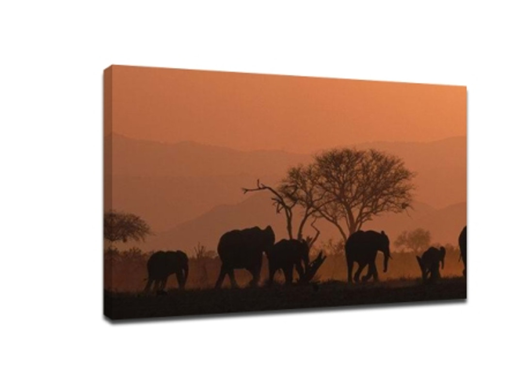 Travel photography Skills