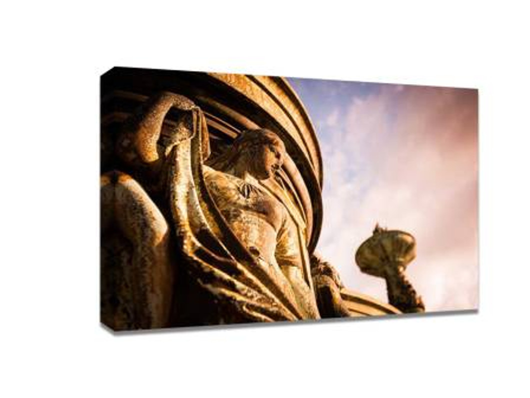 ​Use light to enhance the quality of your photos