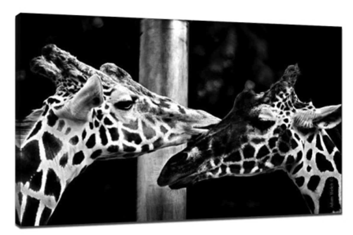 ​When black and white photographs should be taken