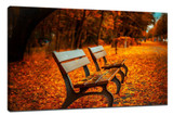 ​10 tips for taking good pictures with your phone