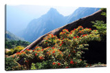​3 elements lets you take more beautiful photograph