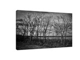 ​5 reasons make you like black and white theme photography