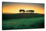​5 simple steps to take beautiful scenery Photo